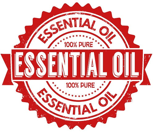Mystic Moments | Olio essenziale per alberi da tè 50 ml