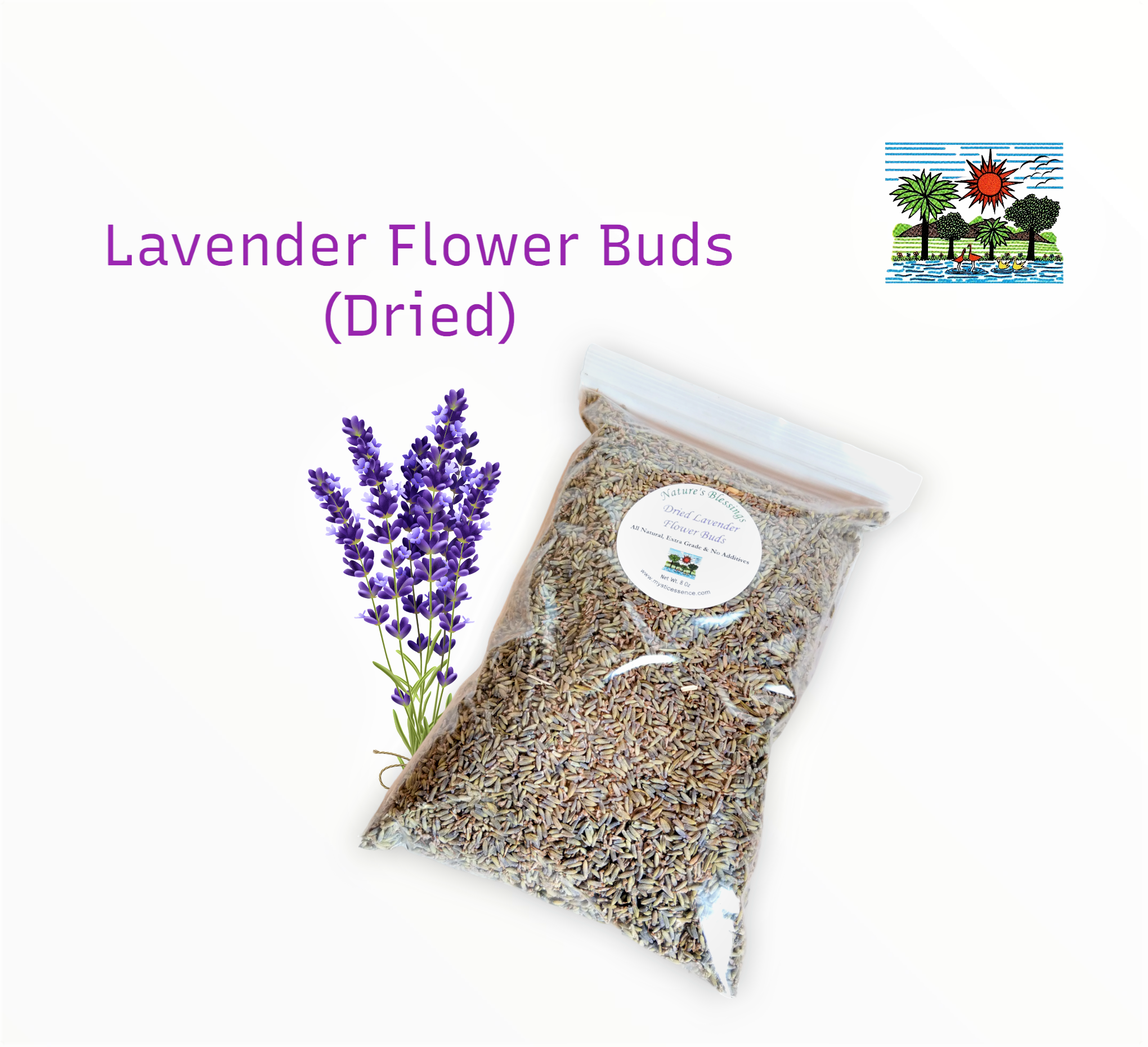 Lavender Flowers, Buds Dried